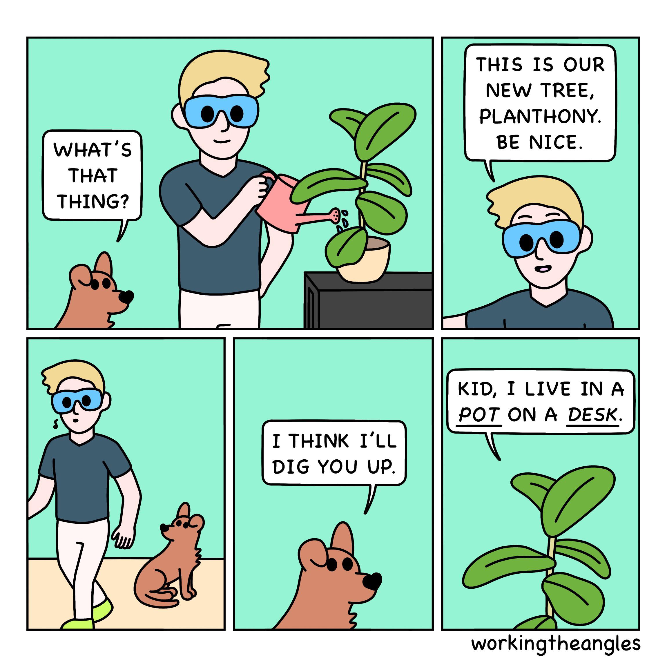 Tree Bargain Oc Scrolller