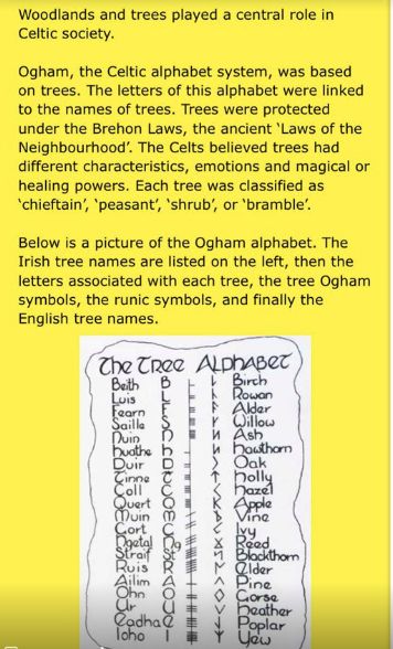trees in the ancient Celtic forests tell stories. This is pretty ...