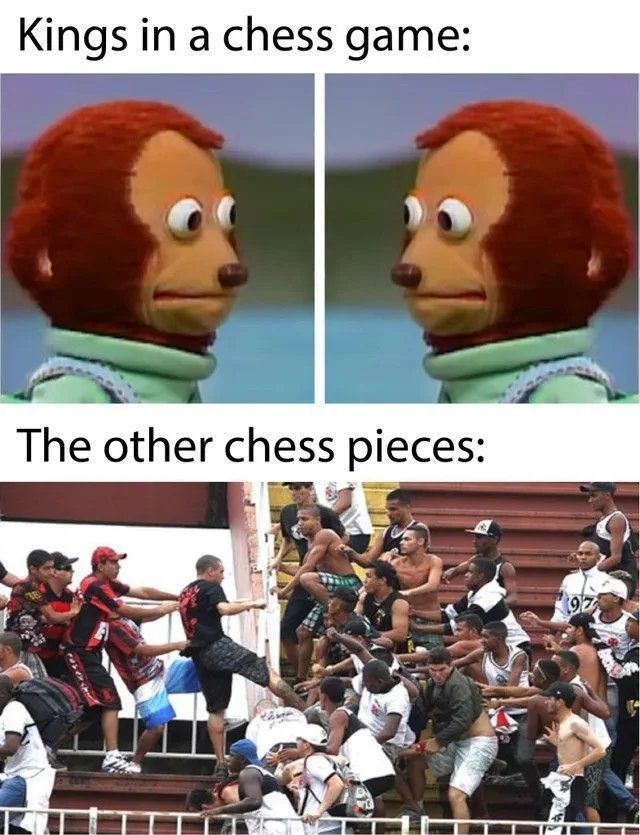 200 IQ Chess meme : r/AnarchyChess