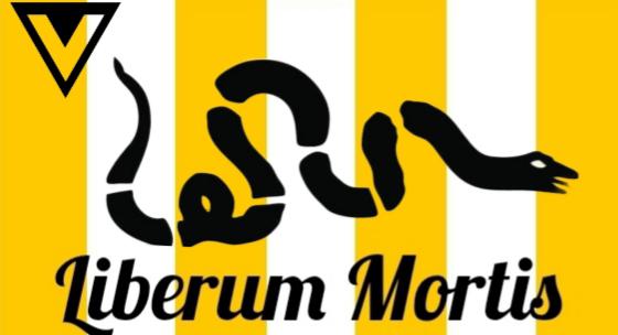 Voluntaryist Sons of Liberty flag | Scrolller