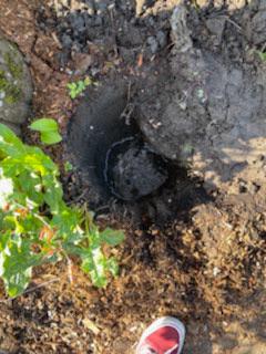 Water Table? Digging a post hole and hit water within a foot (Jefferson ...