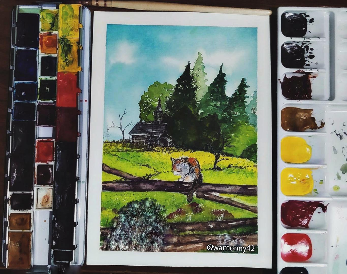 Watercolor Random... | Scrolller