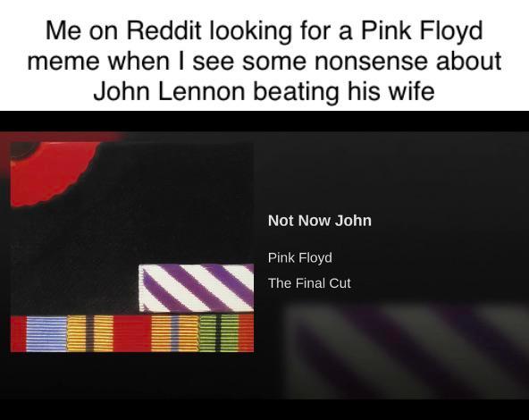 We gotta get on with the Floyd memes | Scrolller