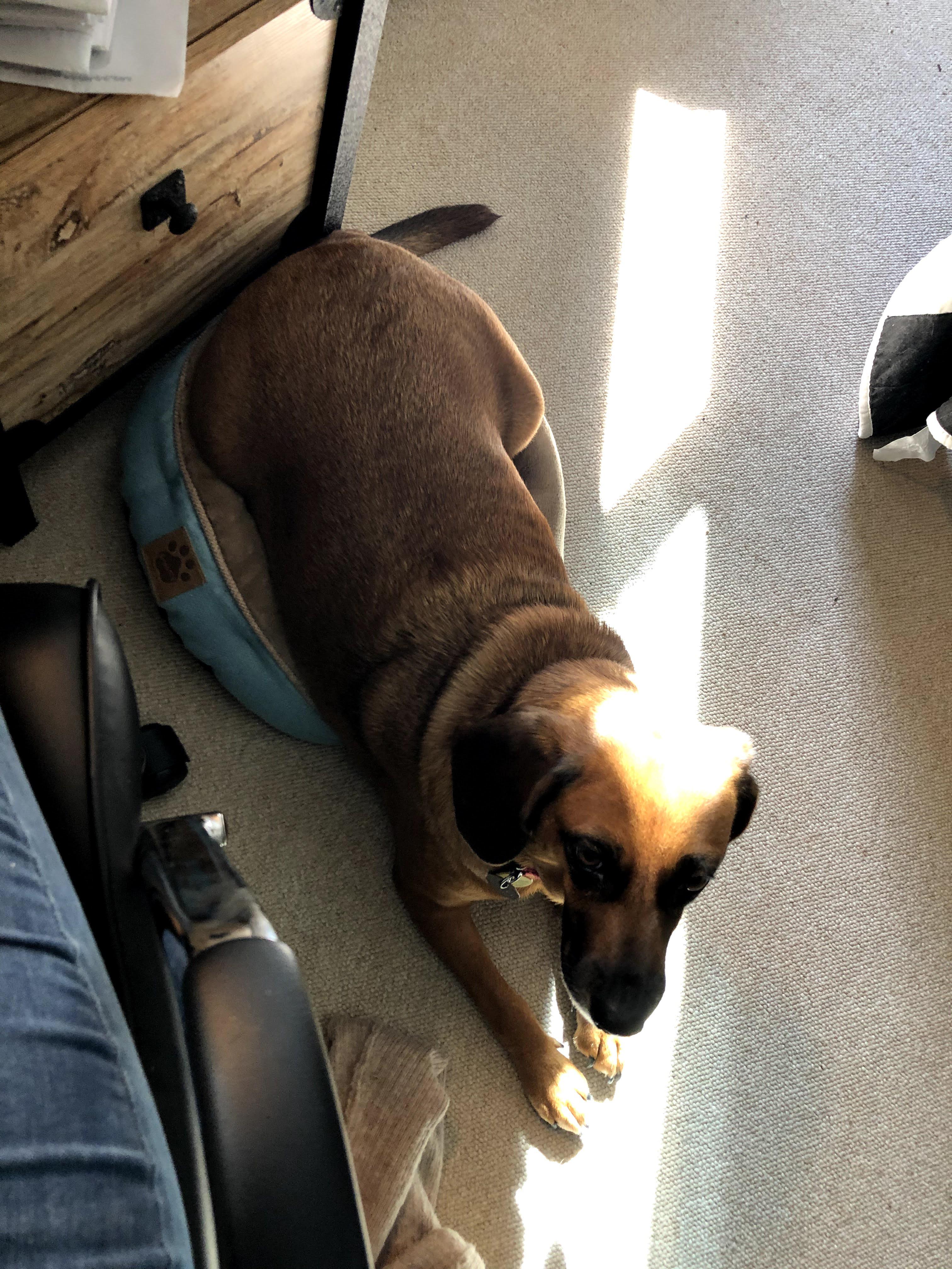 "Well, well, well, how the turntables..." Michael Scott Scrolller