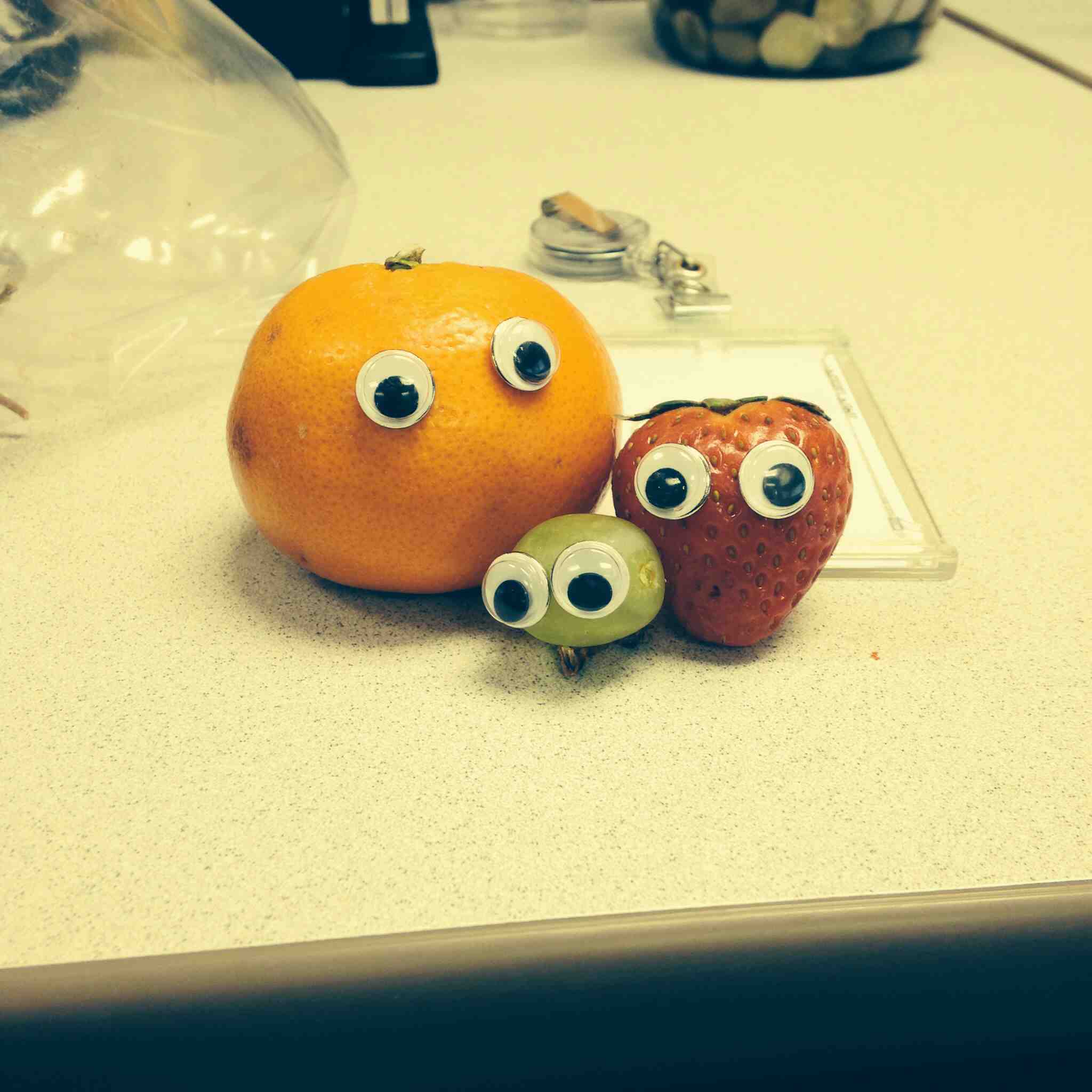 what a bunch of fruits. Scrolller