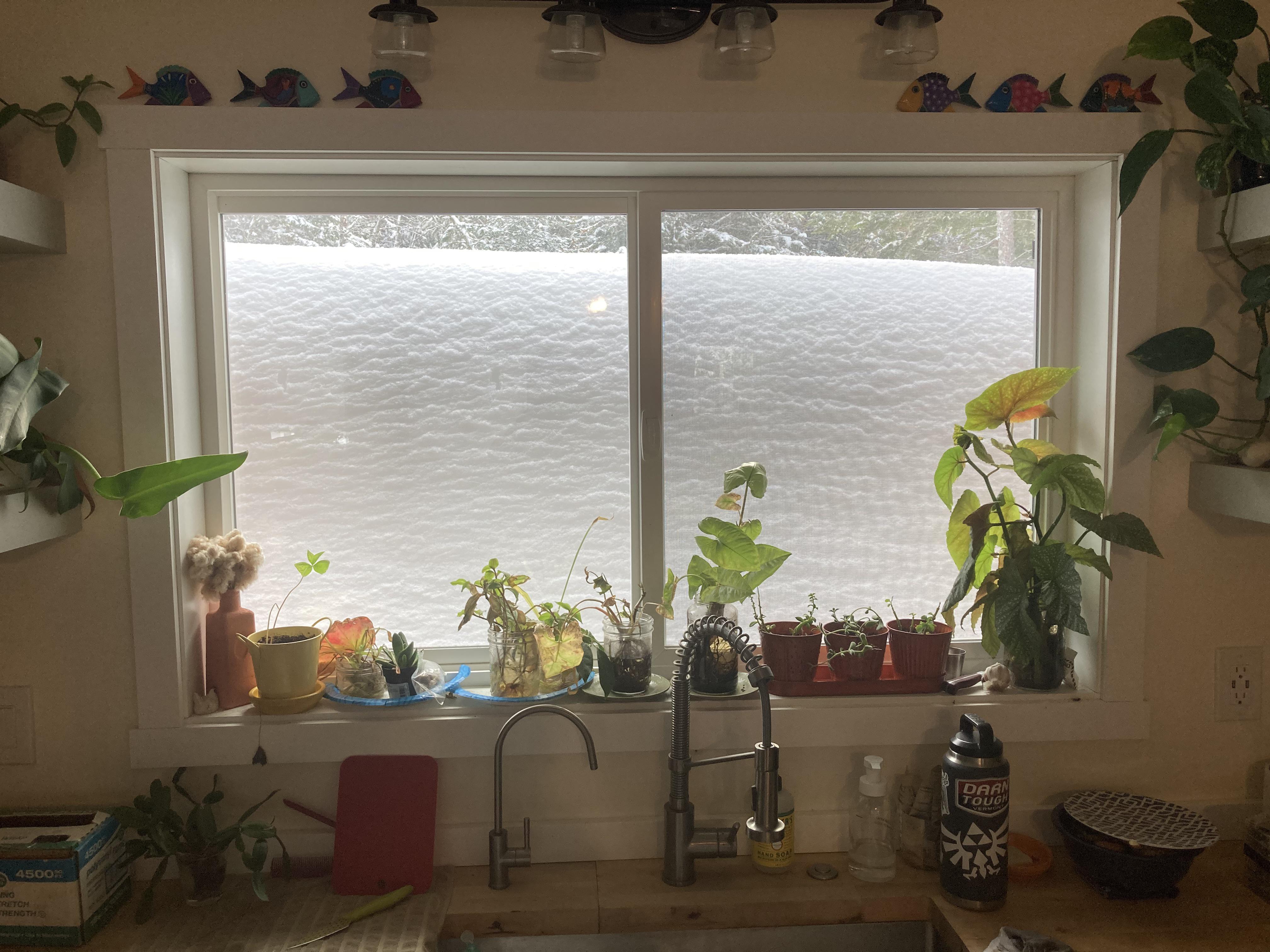 When spring needs to come! | Scrolller