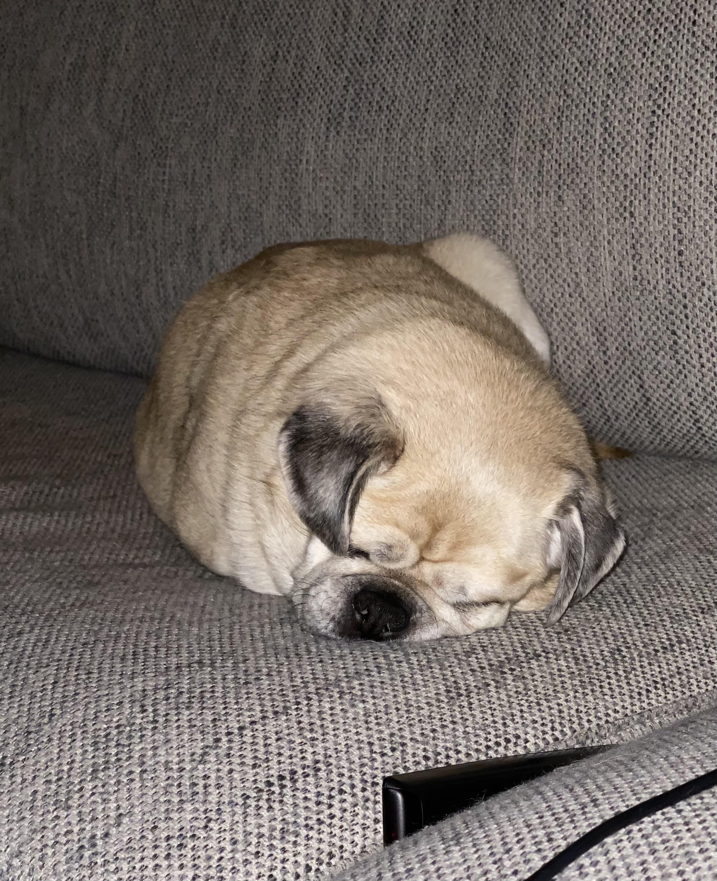 Would you like toast or sandwich slices? Scrolller