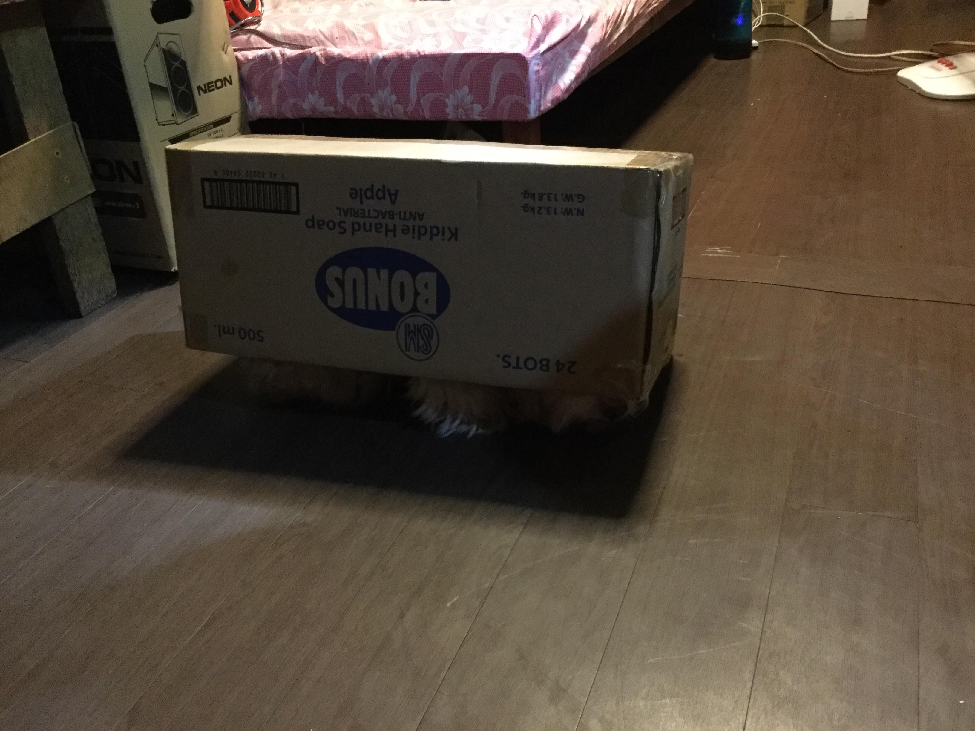 Yo Sm why is my box walking by itslef and look it has legs is this a