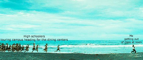 You Gotta Be Quicker Than That. Scrolller