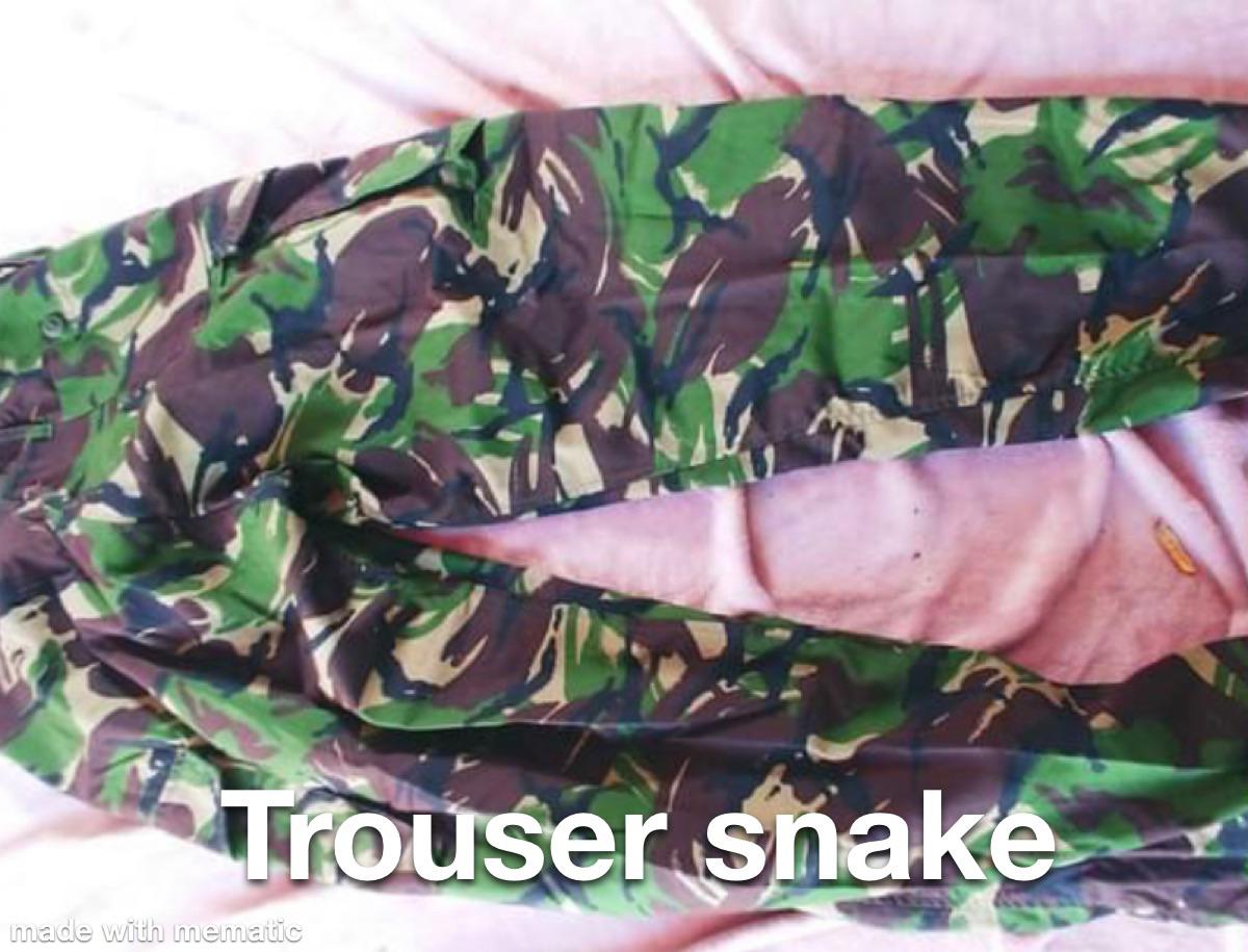 You Ll Never Guess Scrolller