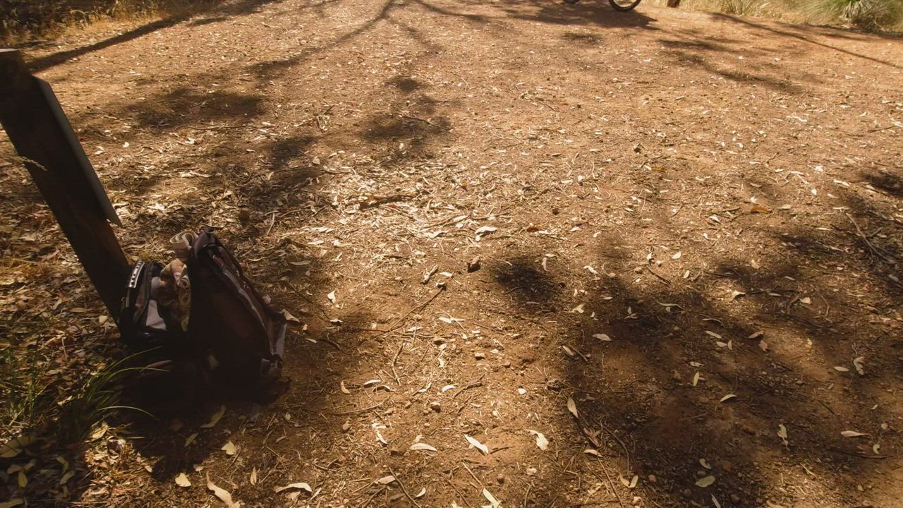 Making my boyfriend cum right by the path. We've never been this daring