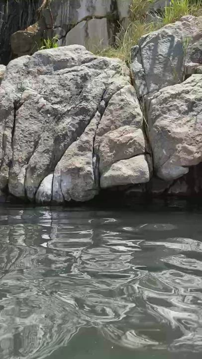 Naked in nature GIF by boobookittyb13 Scrolller