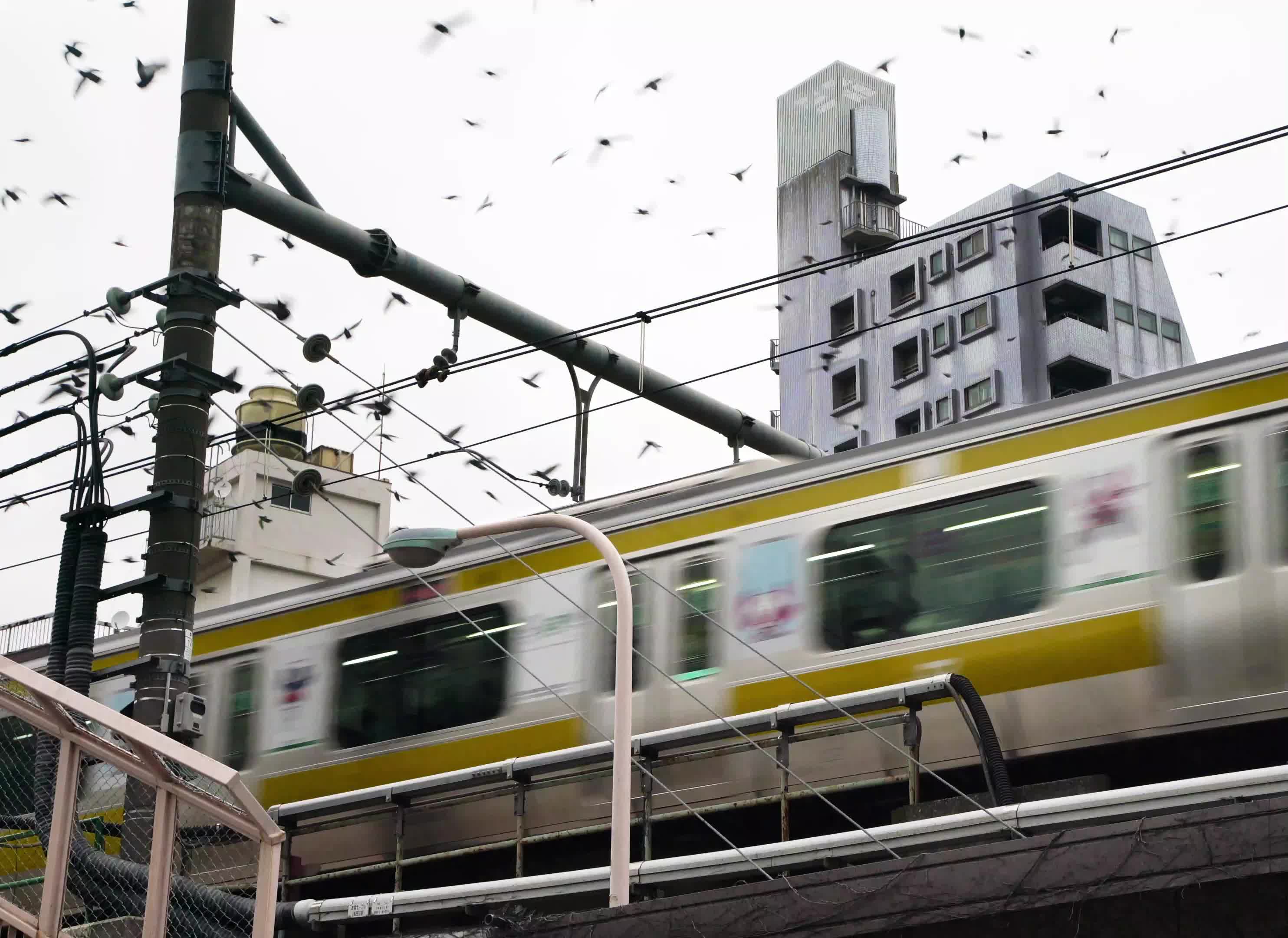 Tokyo Train Scrolller