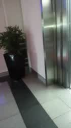 Drunk Girls Strip Naked In Elevator In Las Vegas | Scrolller