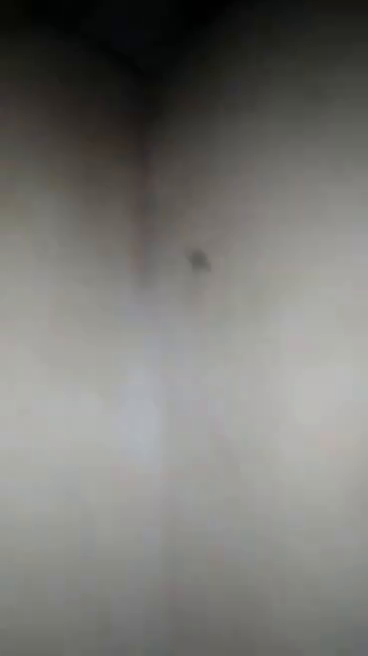 Baby mama doggystyle pov 
