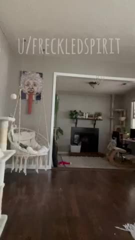 Cute Elf Pawg Strip Porn GIF by freckledspirit | Scrolller