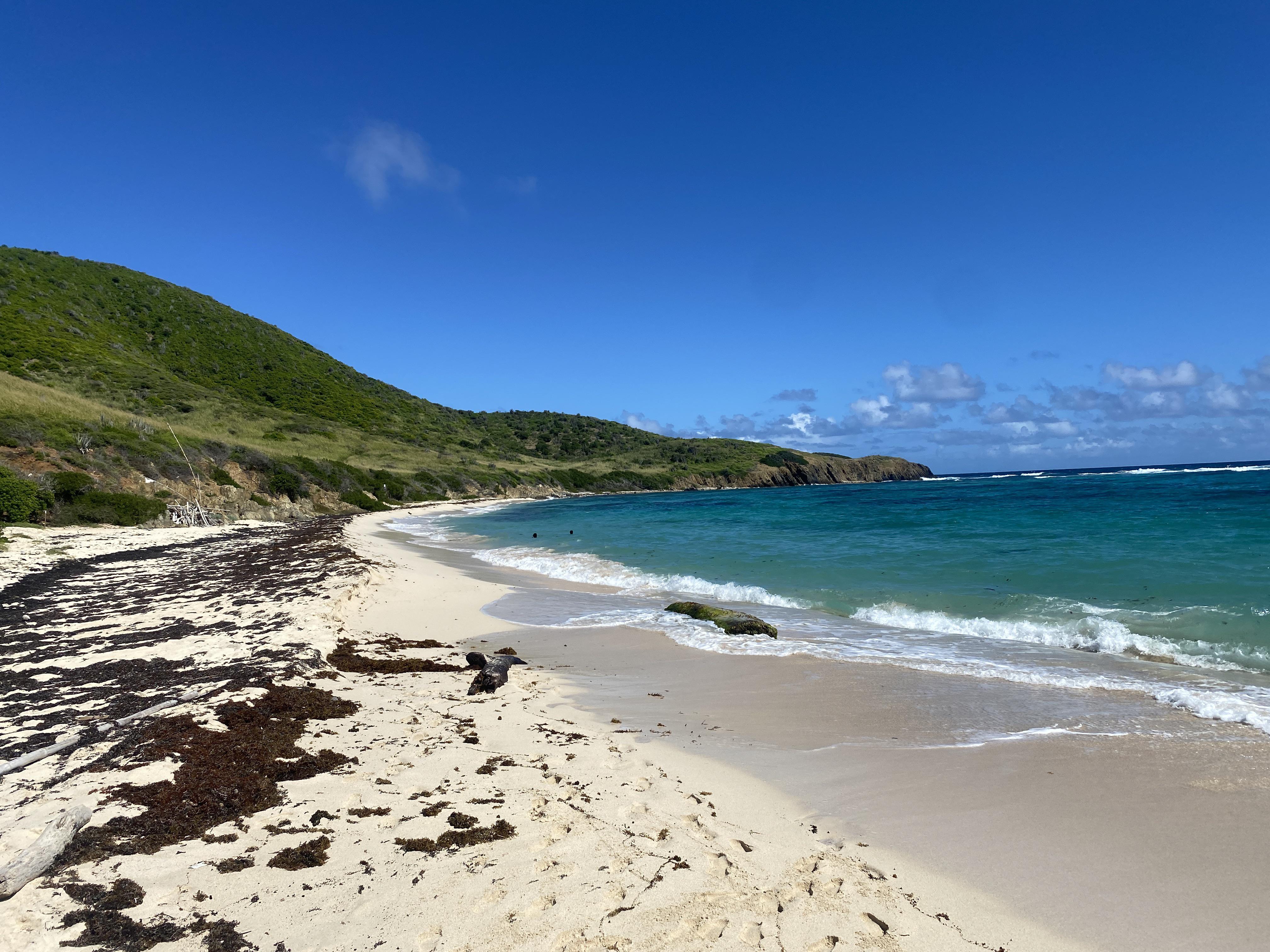 Jack’s Bay, Saint Croix | Scrolller