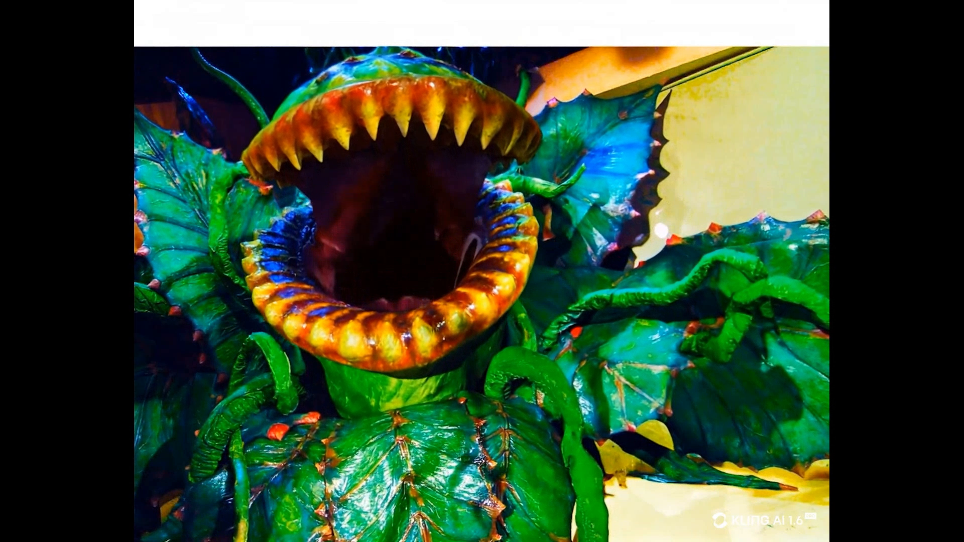 little shop audrey ii