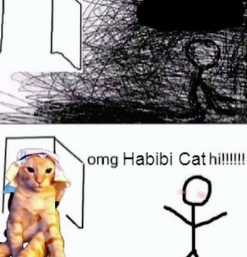 habibi cat Meme Generator - Imgflip