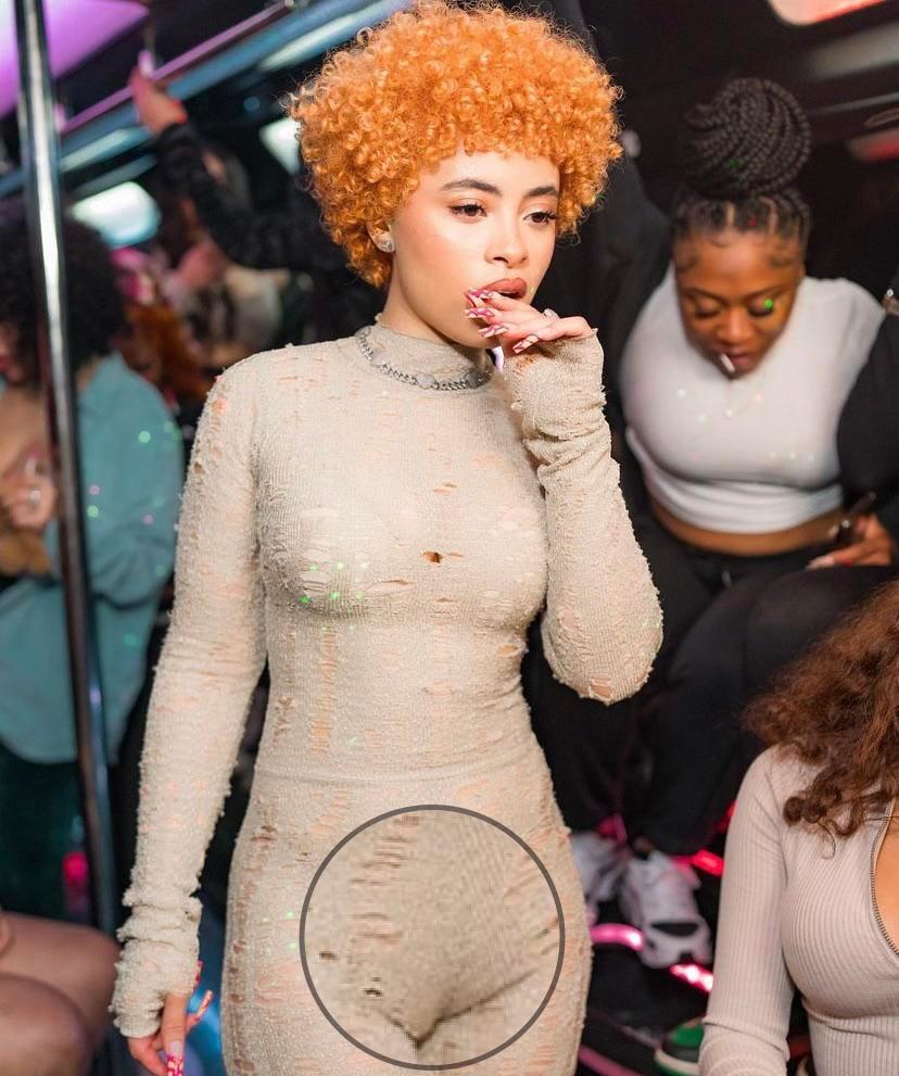 Ice spice pussy print