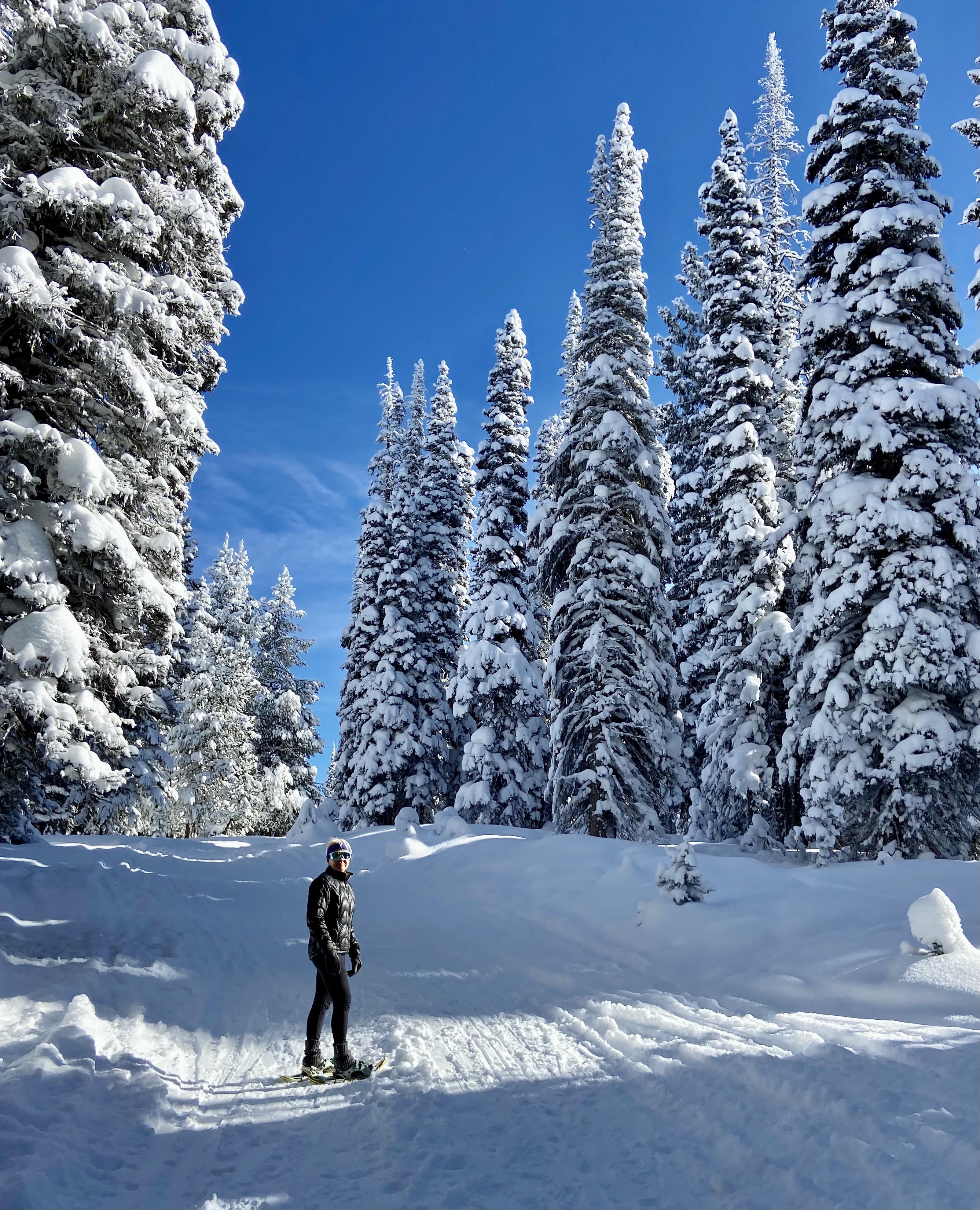 Rabbit Ears Pass After Fresh Snow Scrolller   Rabbit Ears Pass After Fresh Snow 510j3w7bl0 