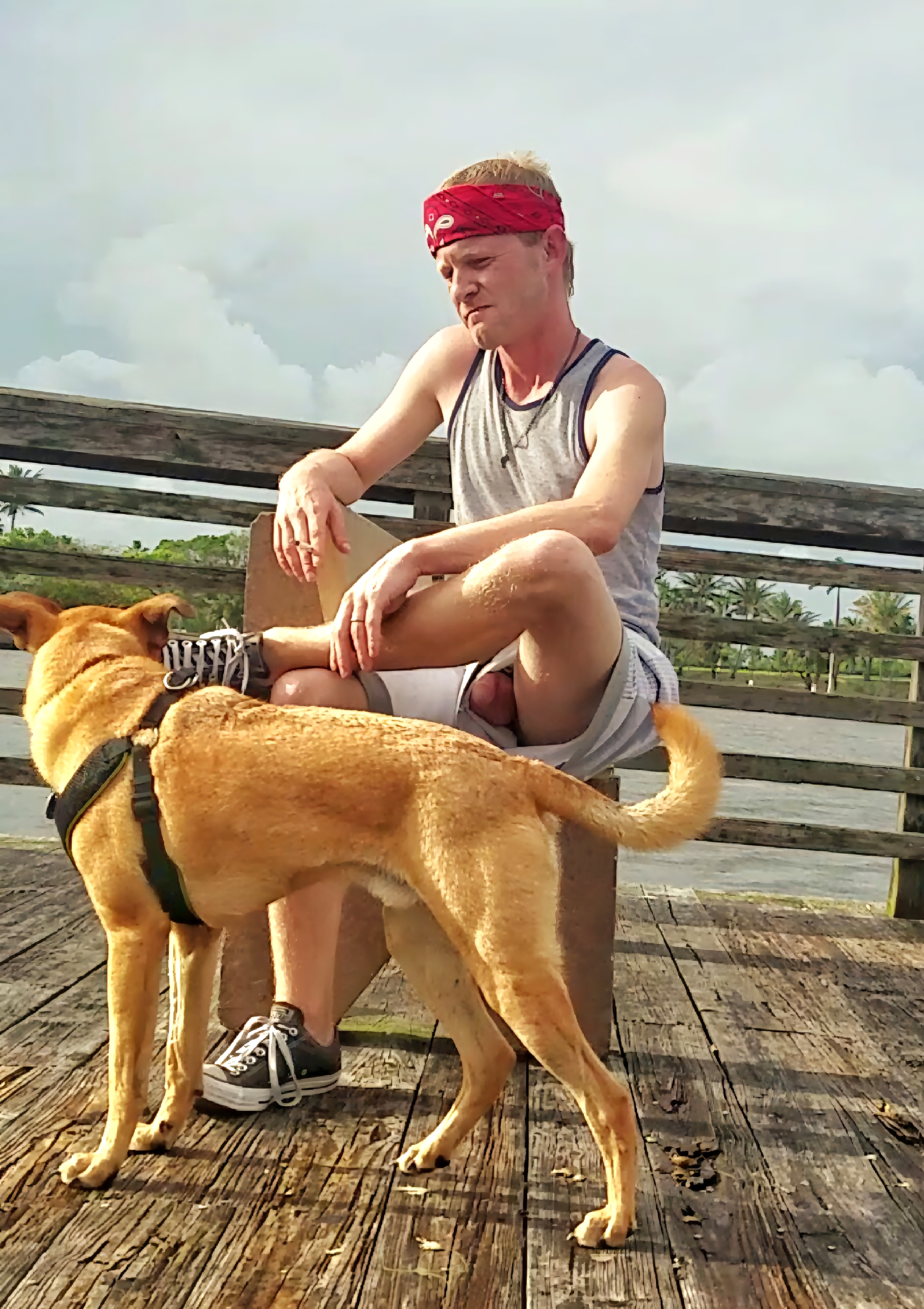 Upshorts