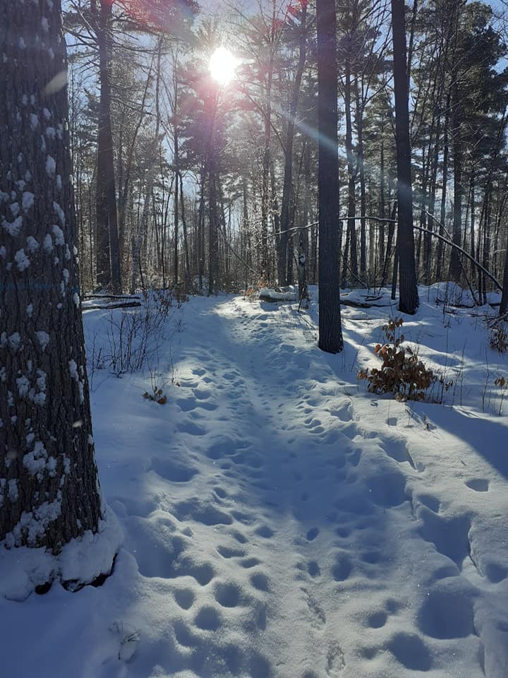 Sunday morning snowshoe in Ontario, Canada Scrolller
