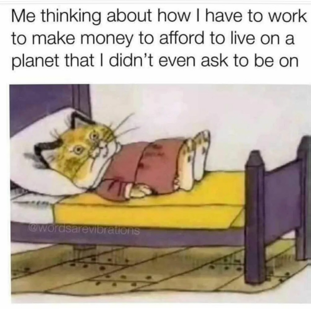 The more you think about it, the weirder it gets. Scrolller