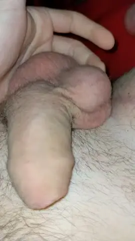 uncut_cock