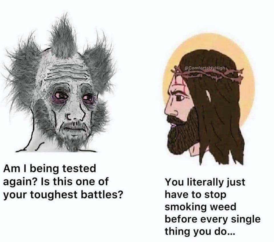 Yo todos los malditos dias Scrolller