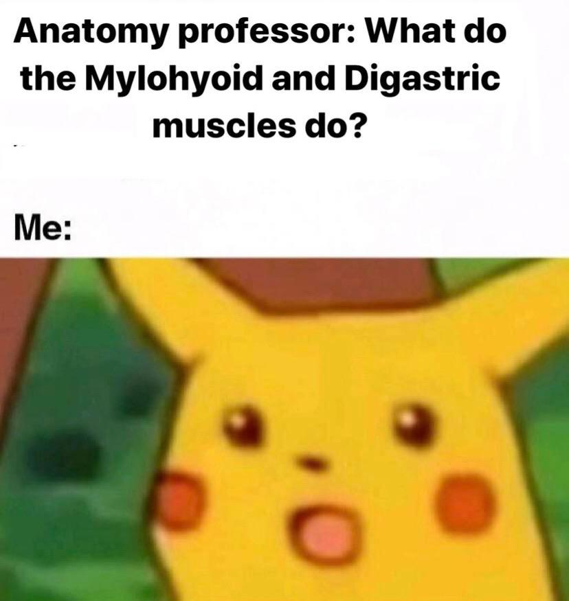 A little muscle humor for you. | Scrolller