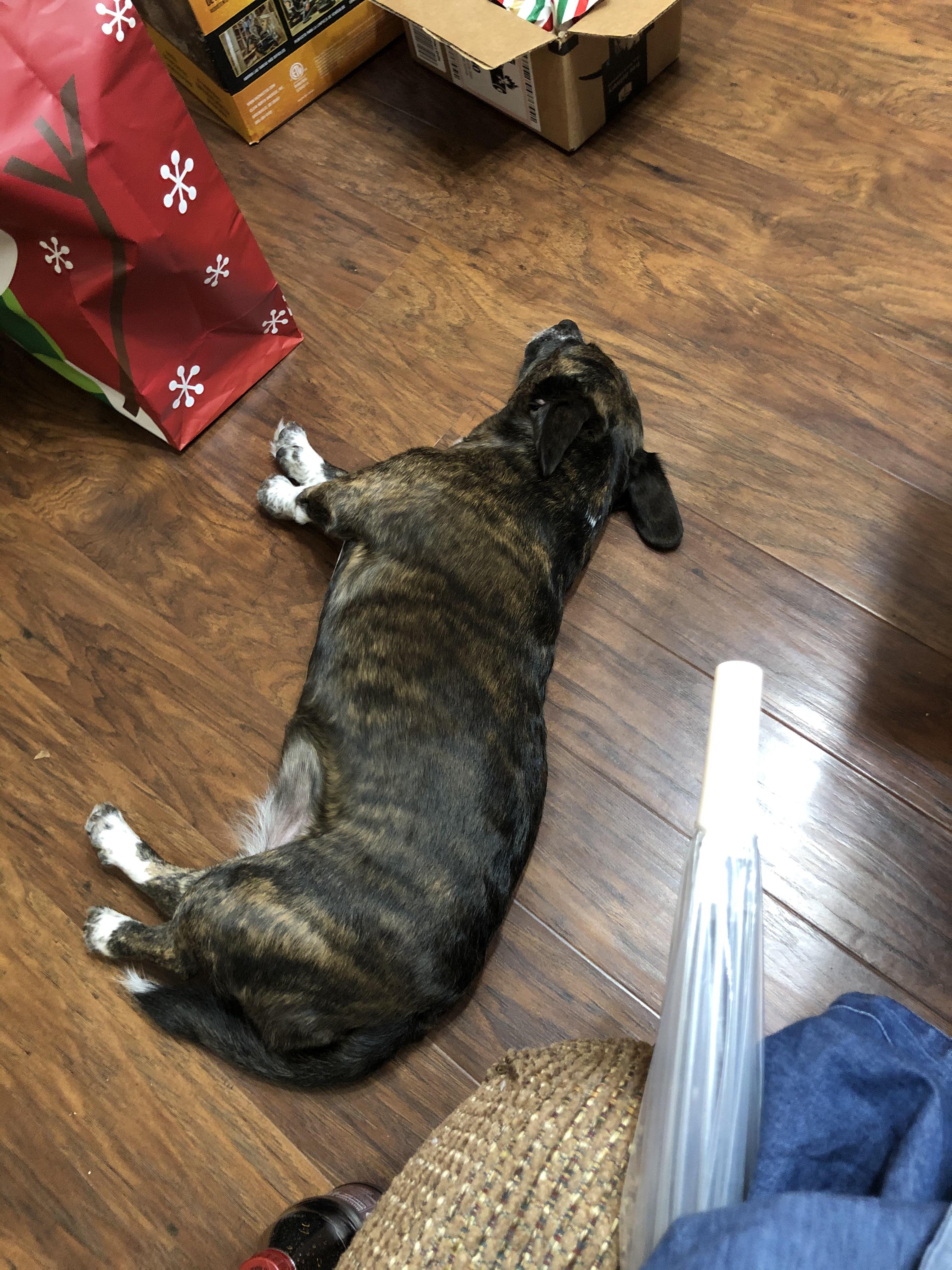 Agnes is super excited for Christmas! | Scrolller