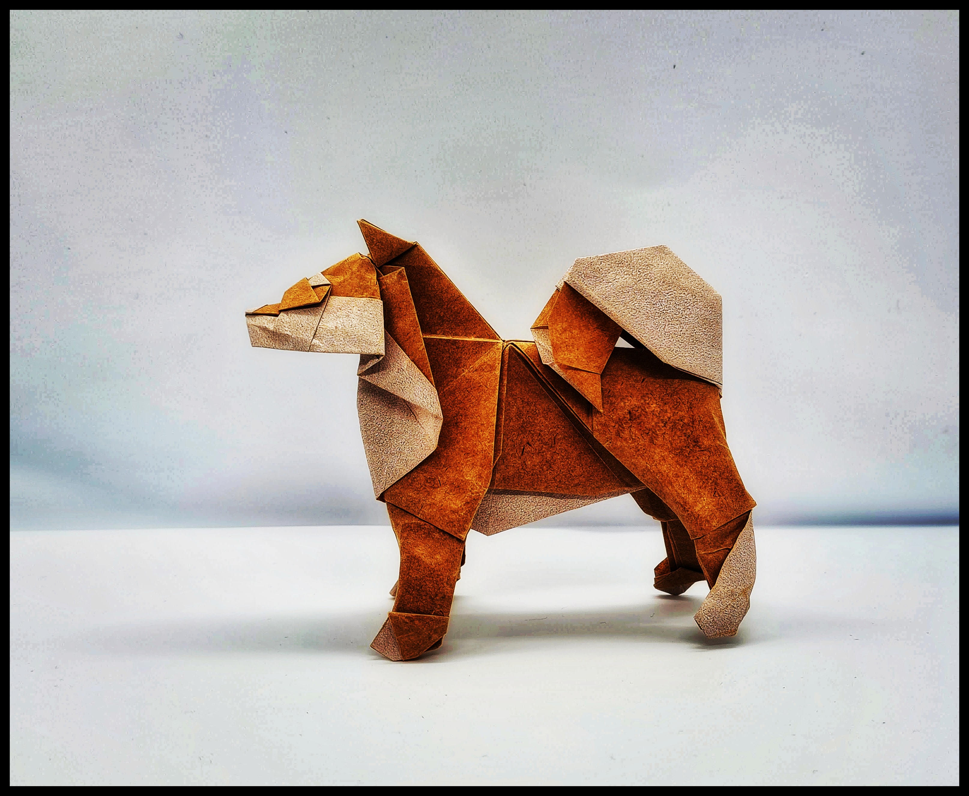 Akita Shiba Inu designed by Satoshi Kamiya | Scrolller