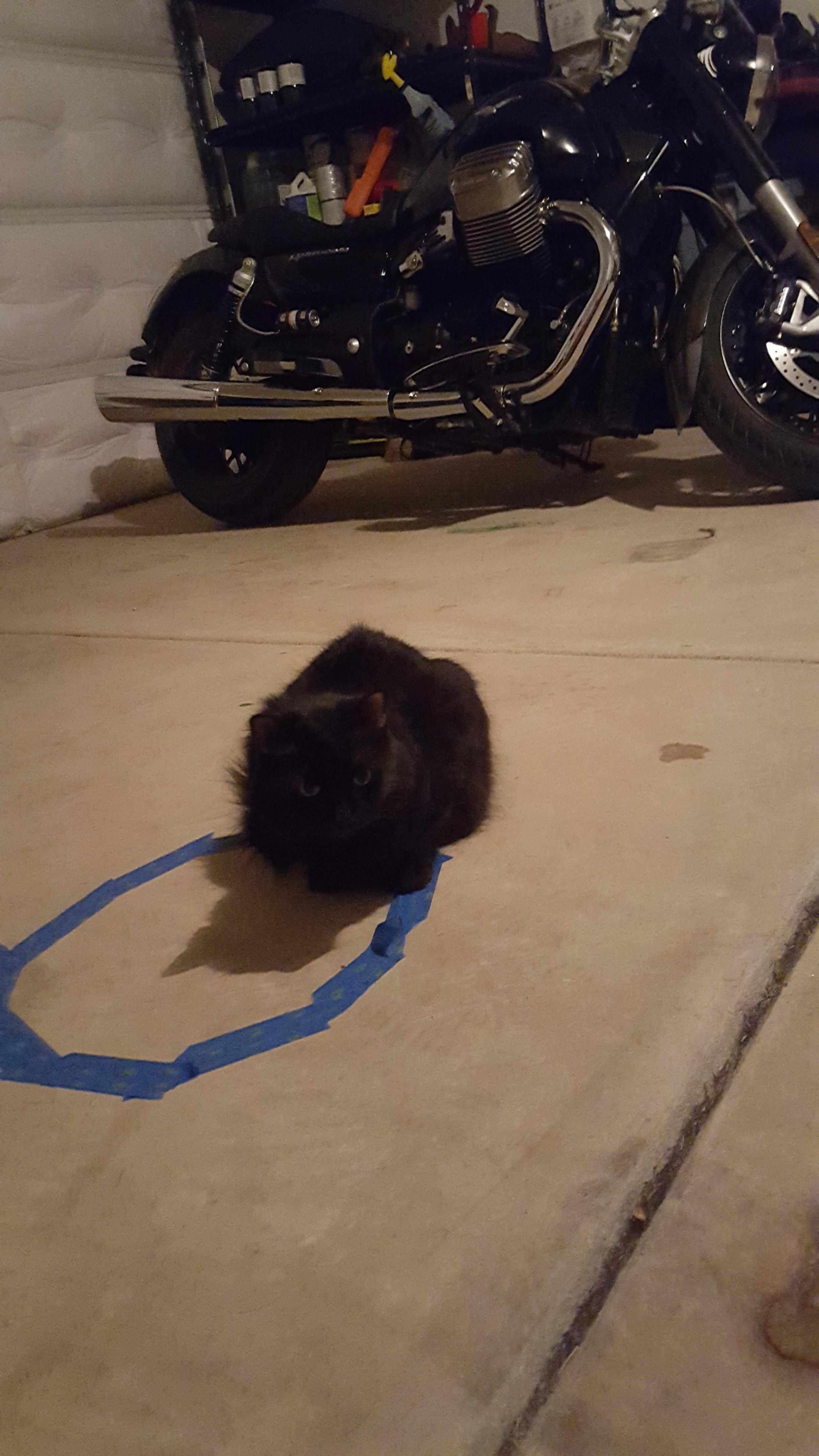 Almost Worked Scrolller