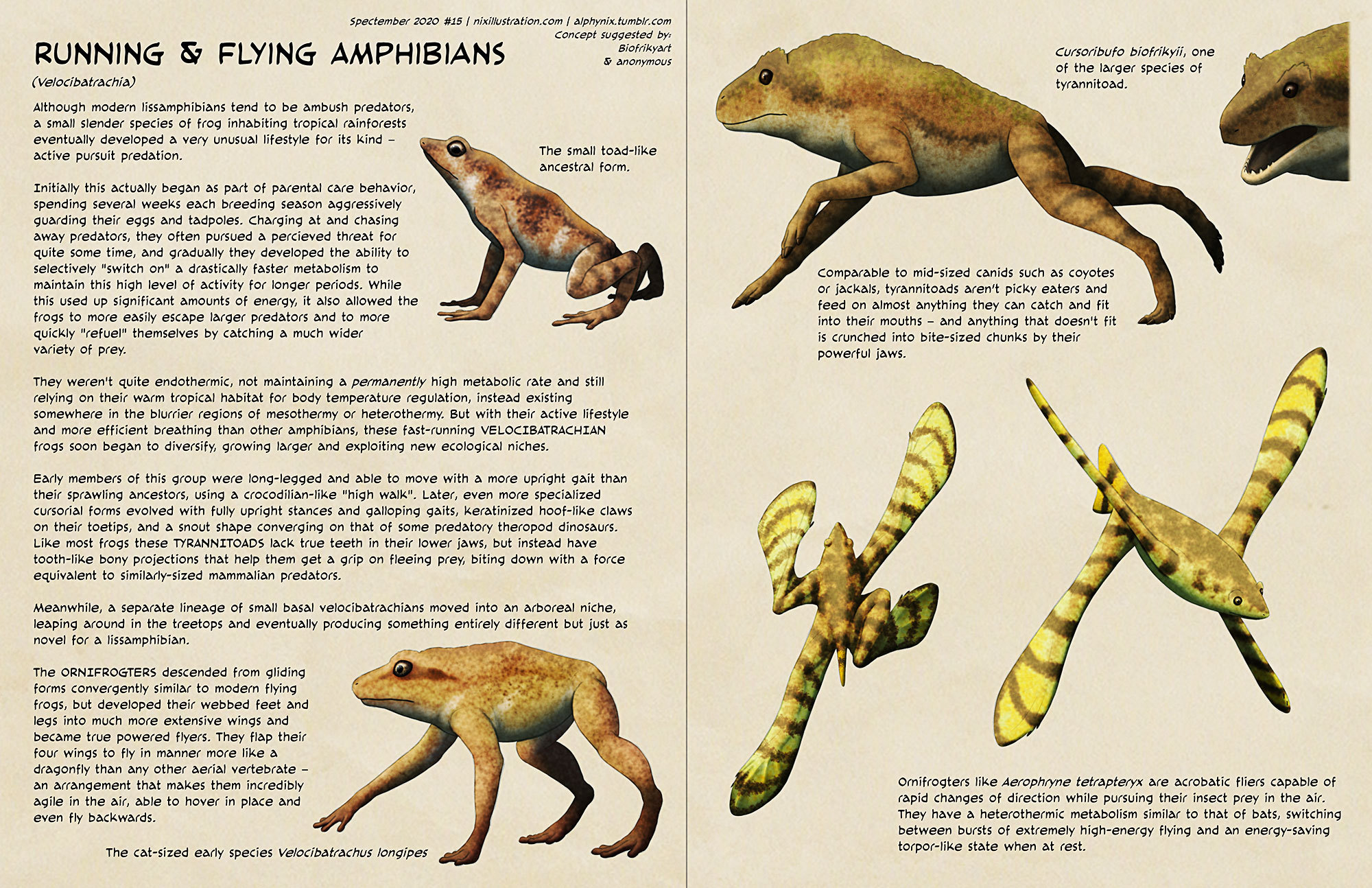 Alphynix's running and flying frogs | Scrolller