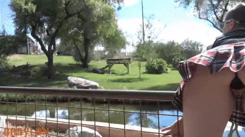 alt-model Babyl0n bends over to show off her XL glass plug at the zoo [GIF]