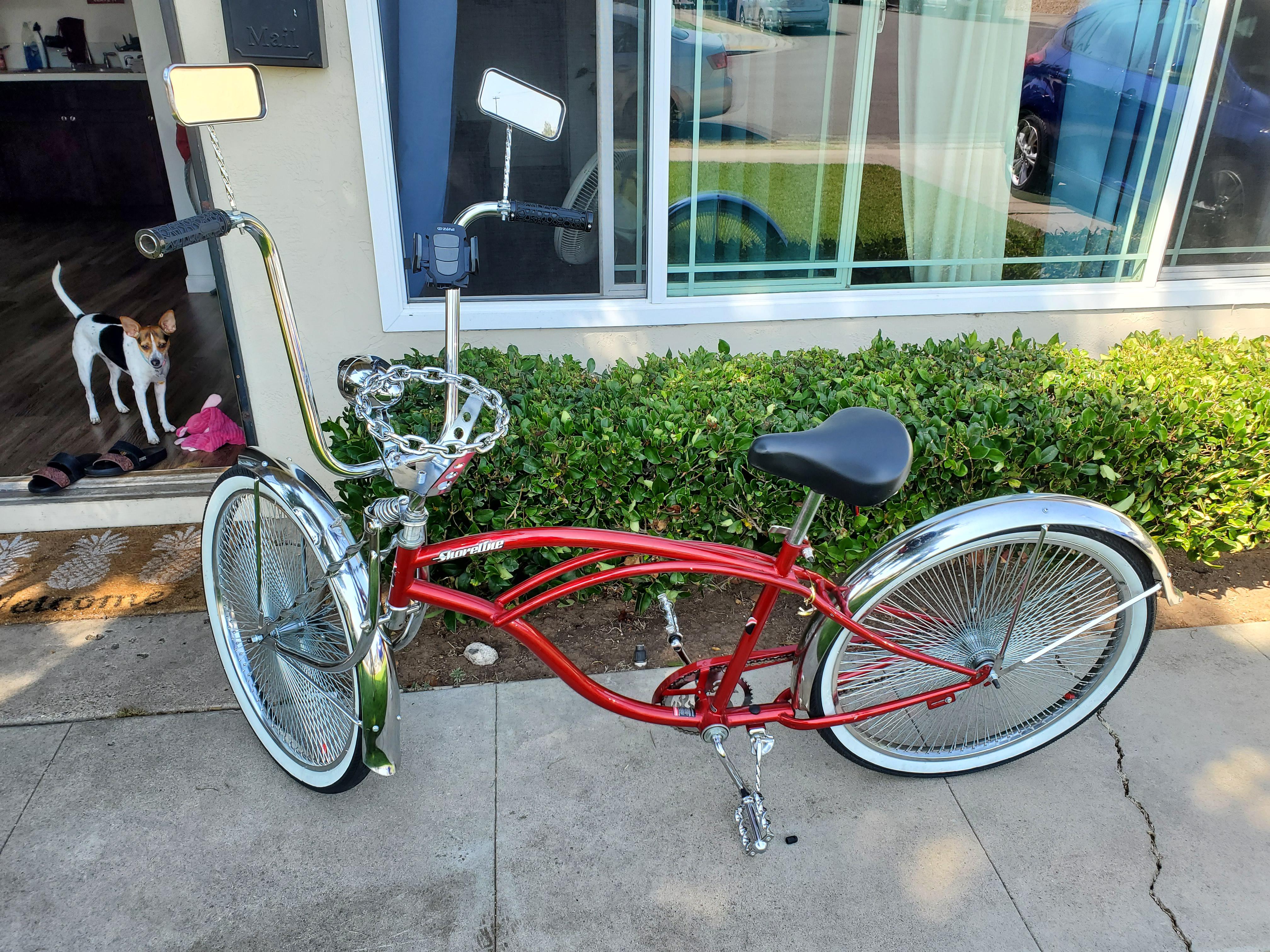 Low Riding Bicycle Always wanted one as a kid and now at 26 years old I own a Low Rider ...