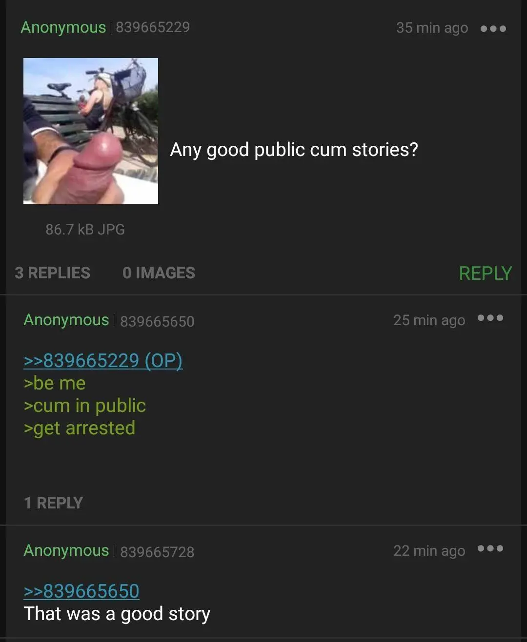 Anon got arrested