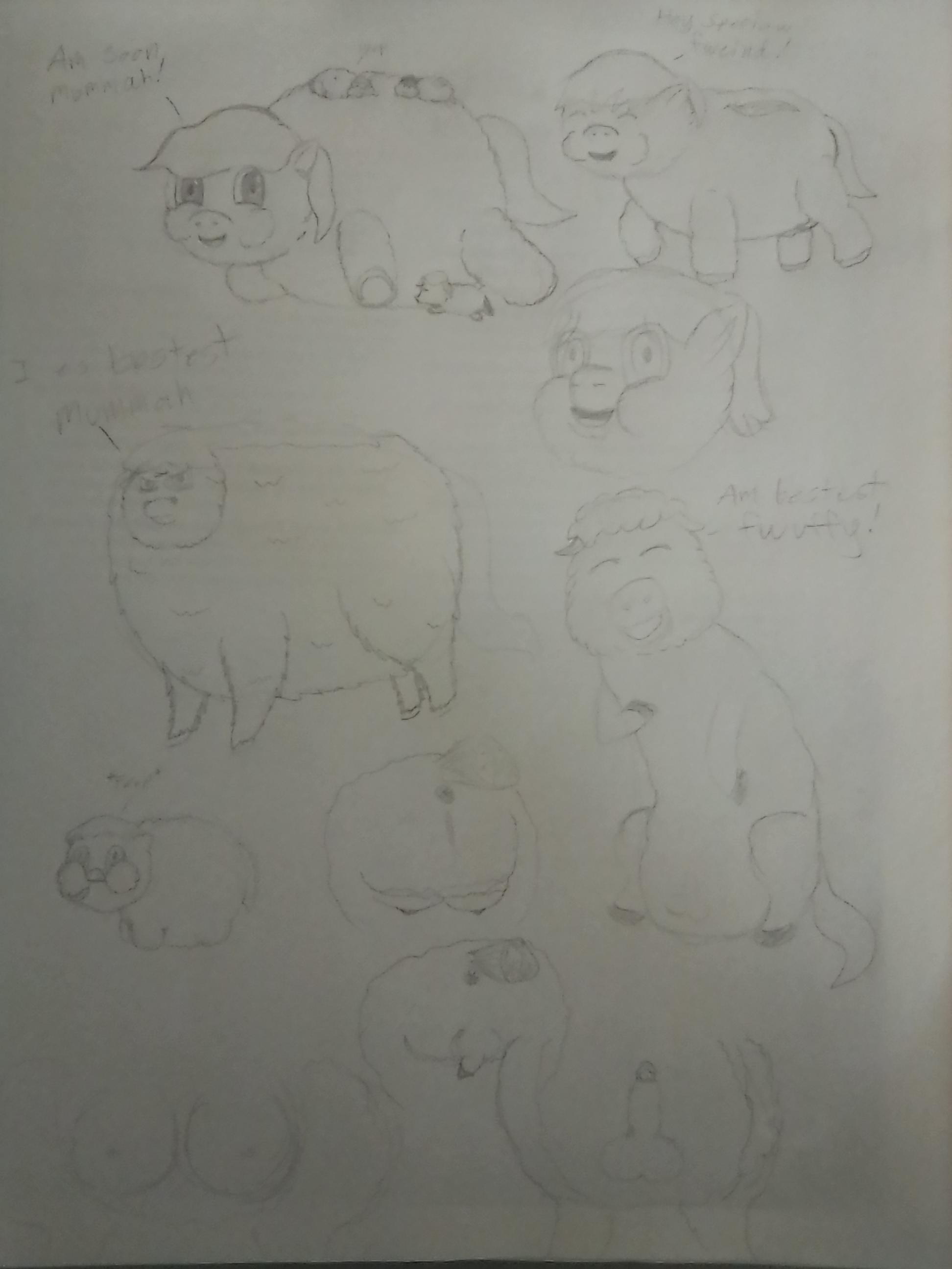 Basic pencil drawings of different versions of fluffy's I have seen ...