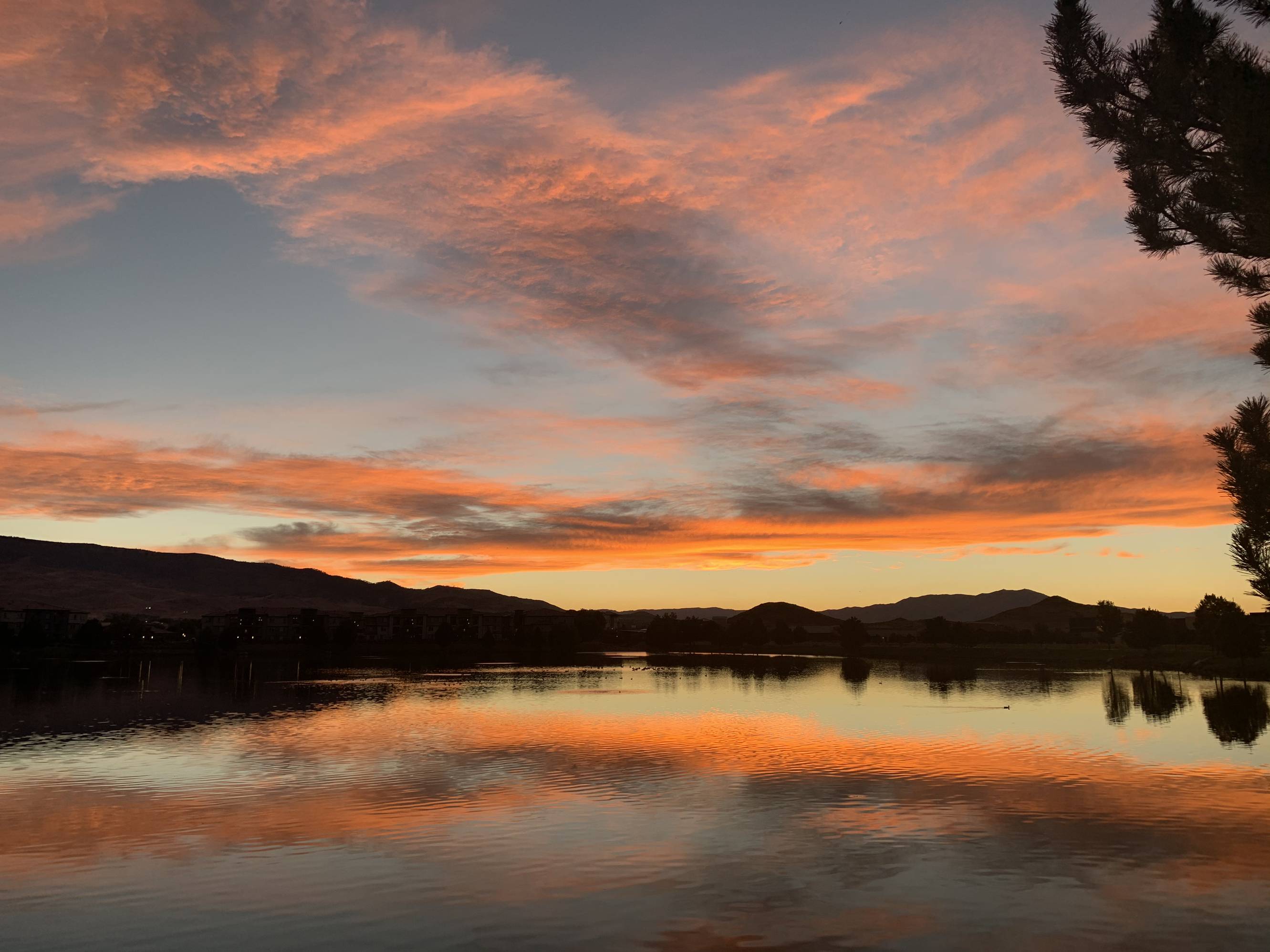 Tonight Outside Beautiful sky tonight. Go outside. | Scrolller