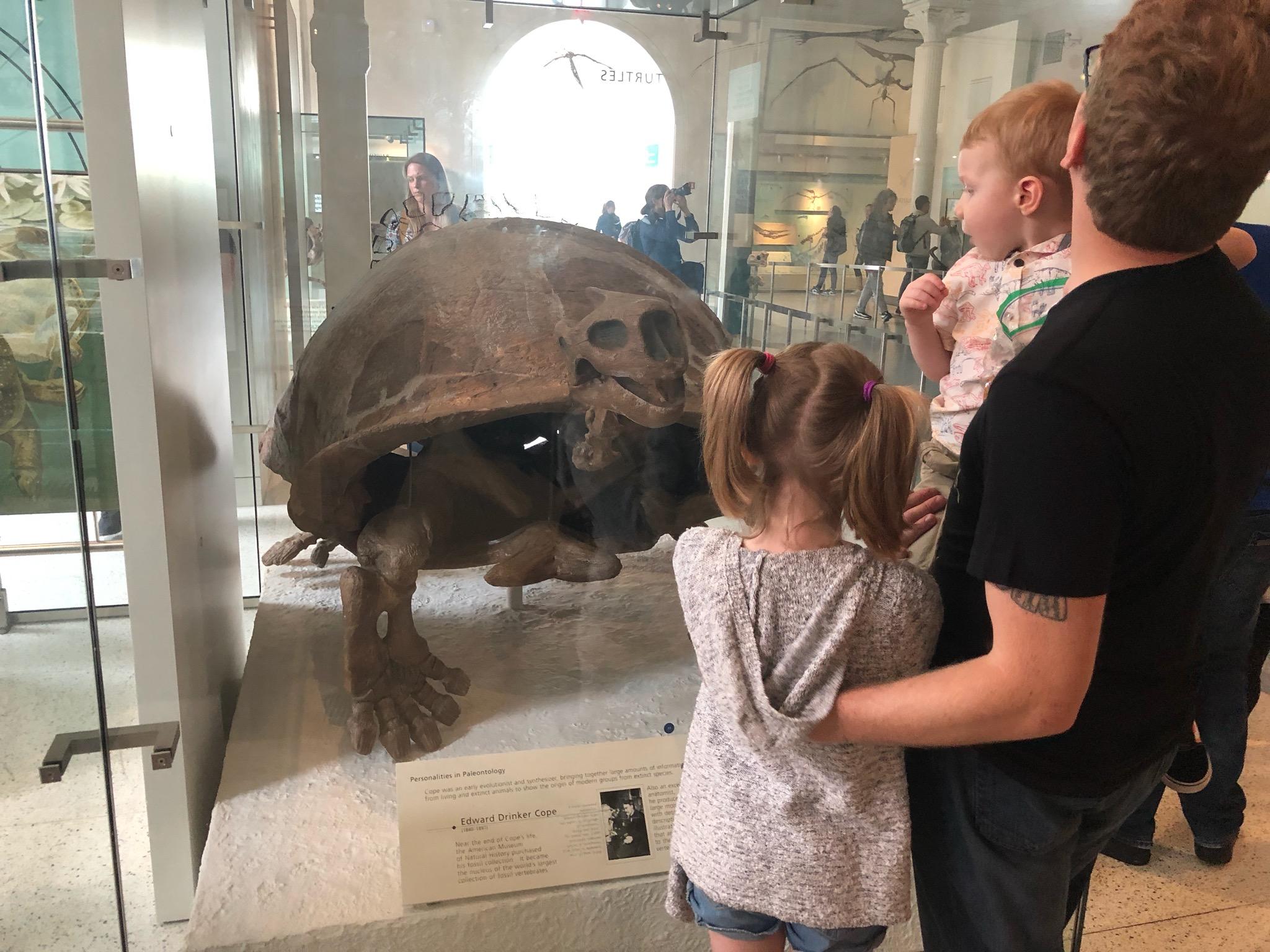 Big boi at the Museum of Natural History NYC Scrolller
