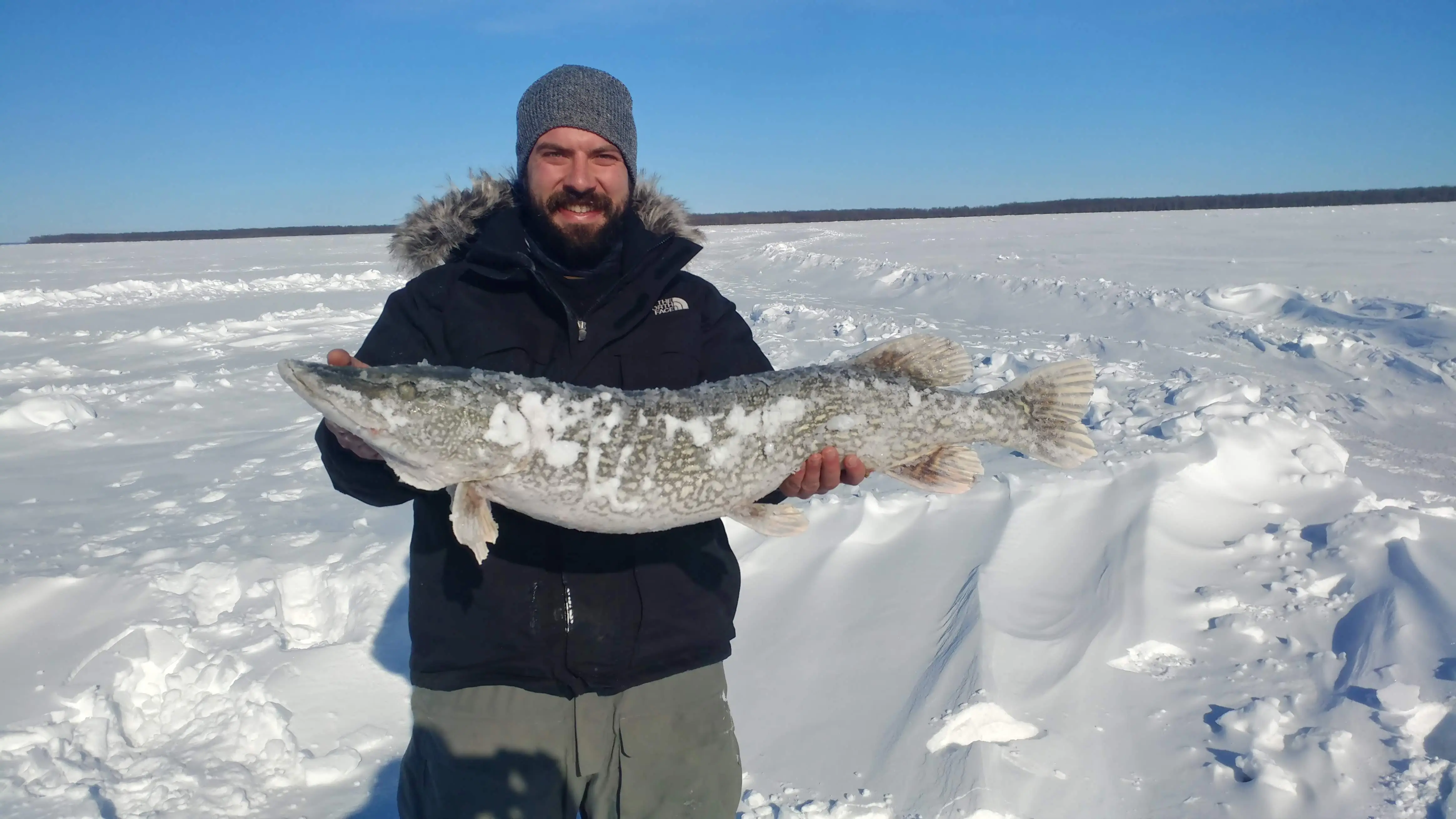 Biggest fish I've ever caught! 41