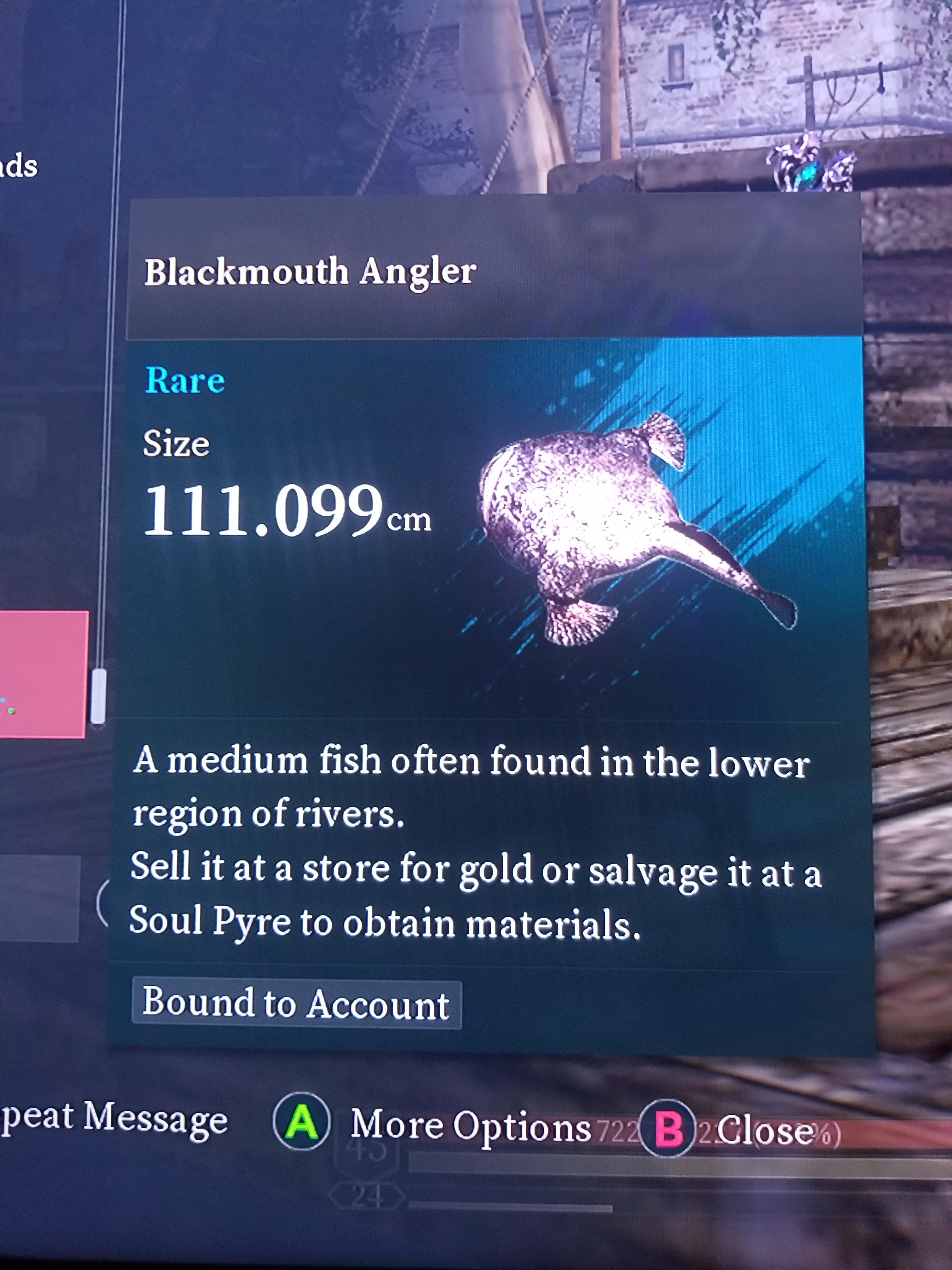 BIGGEST ONE YET! Scrolller(03)