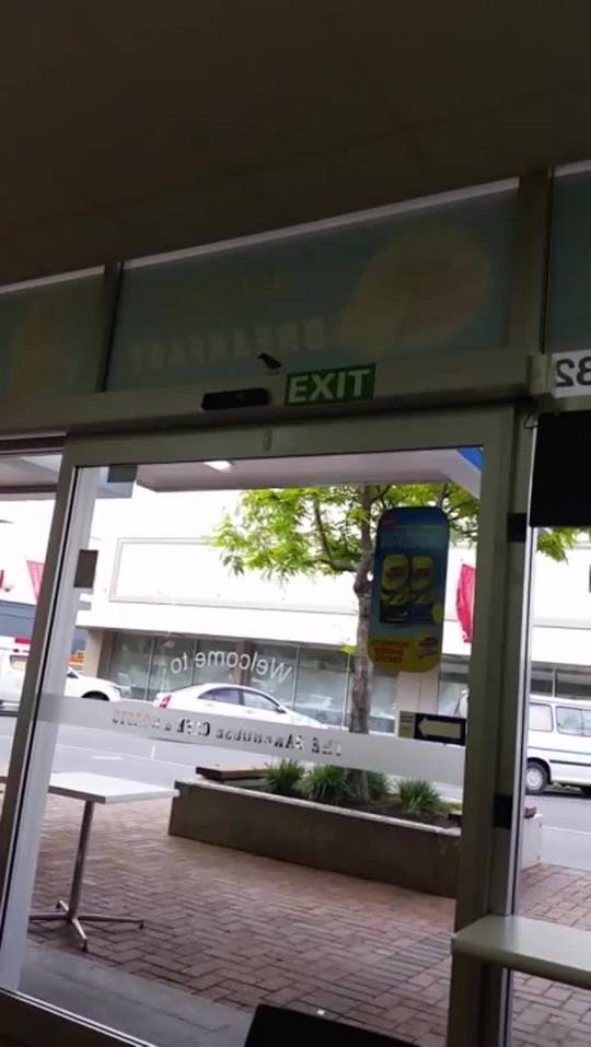 Bird learns to trigger store door motion sensor Scrolller