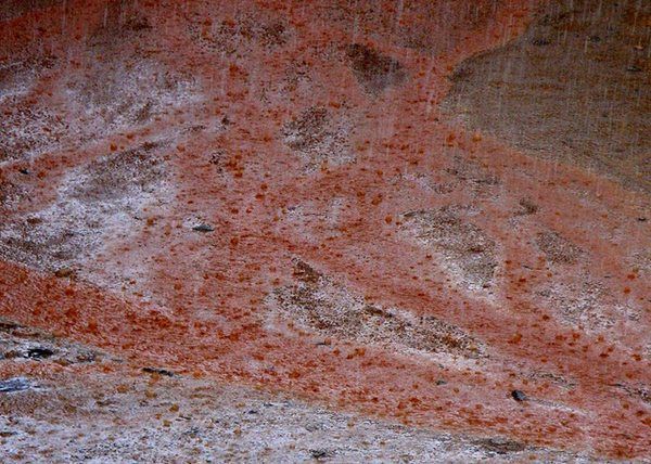 BLOOD red RAIN ,( 2001 spotting in Kerala, India may be one of the most ...