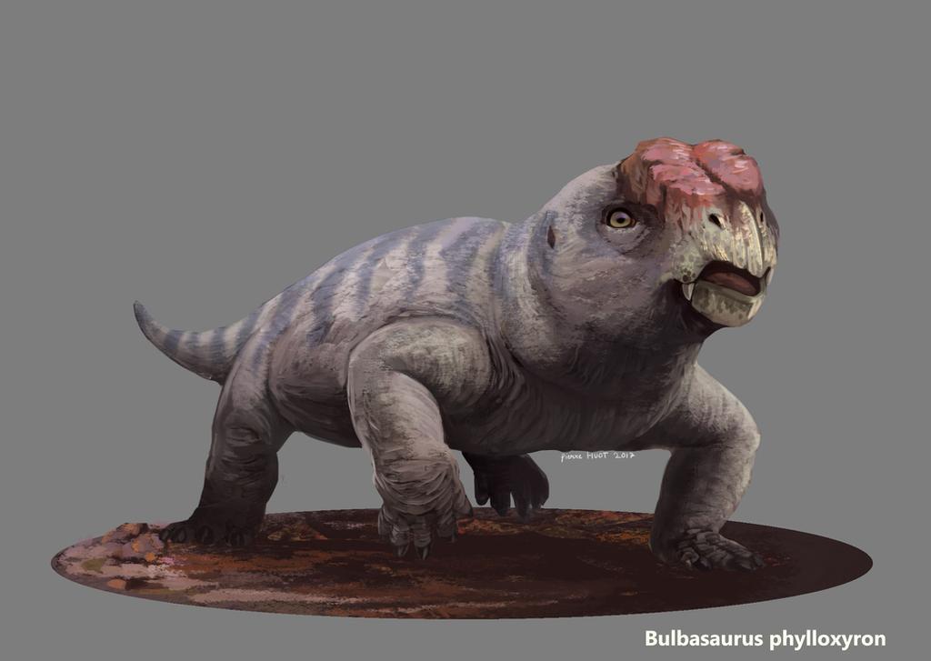 Bulbasaurus phylloxyron | Scrolller
