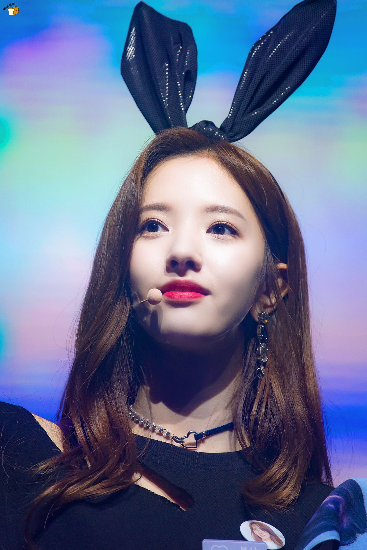 Bunny Bona 🎀 | Scrolller