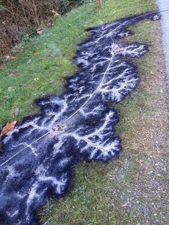 Shadow Burn Line Burn pattern from a downed power line (x-post from /r/pics) [540x720 ...