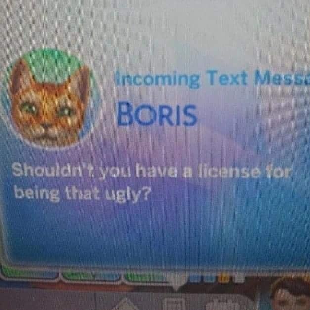 Cat calling Scrolller