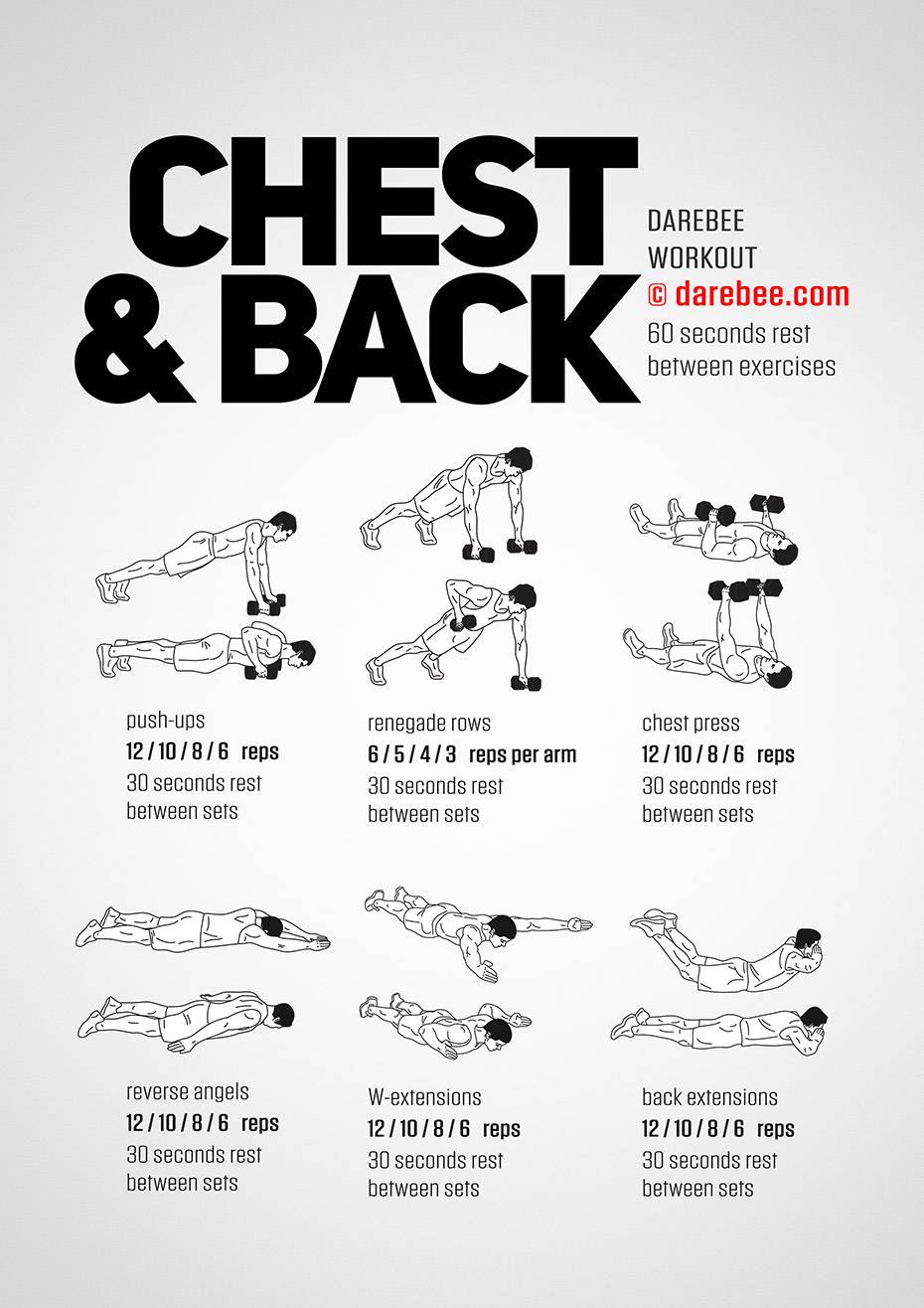 chest-and-back-workout-scrolller